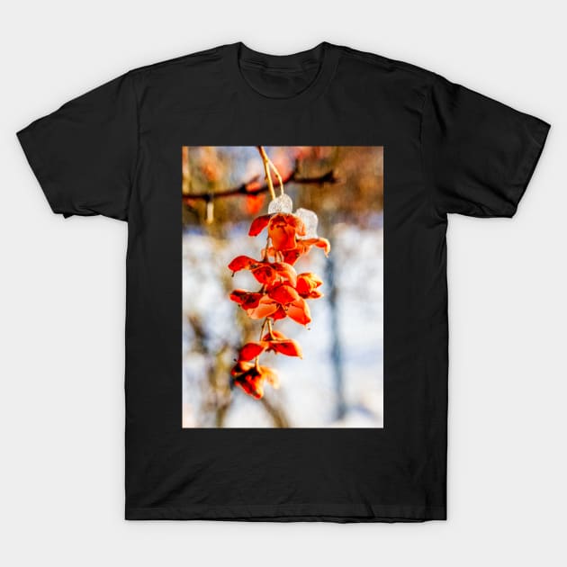 Winter Bittersweet T-Shirt by Robert Alsop